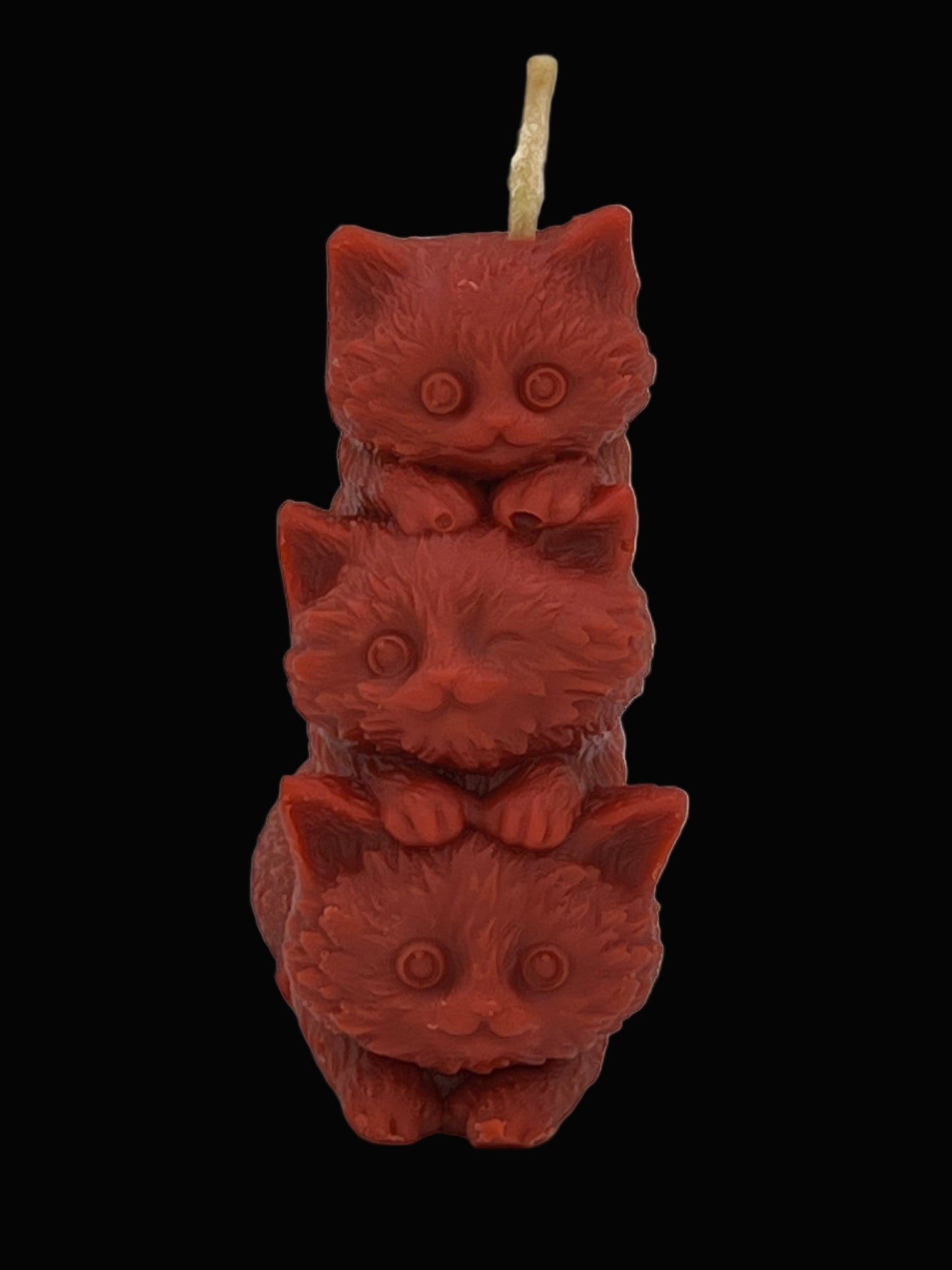 Beeswax-Coconut OIl Candle Kittens-Pumpkin Spice