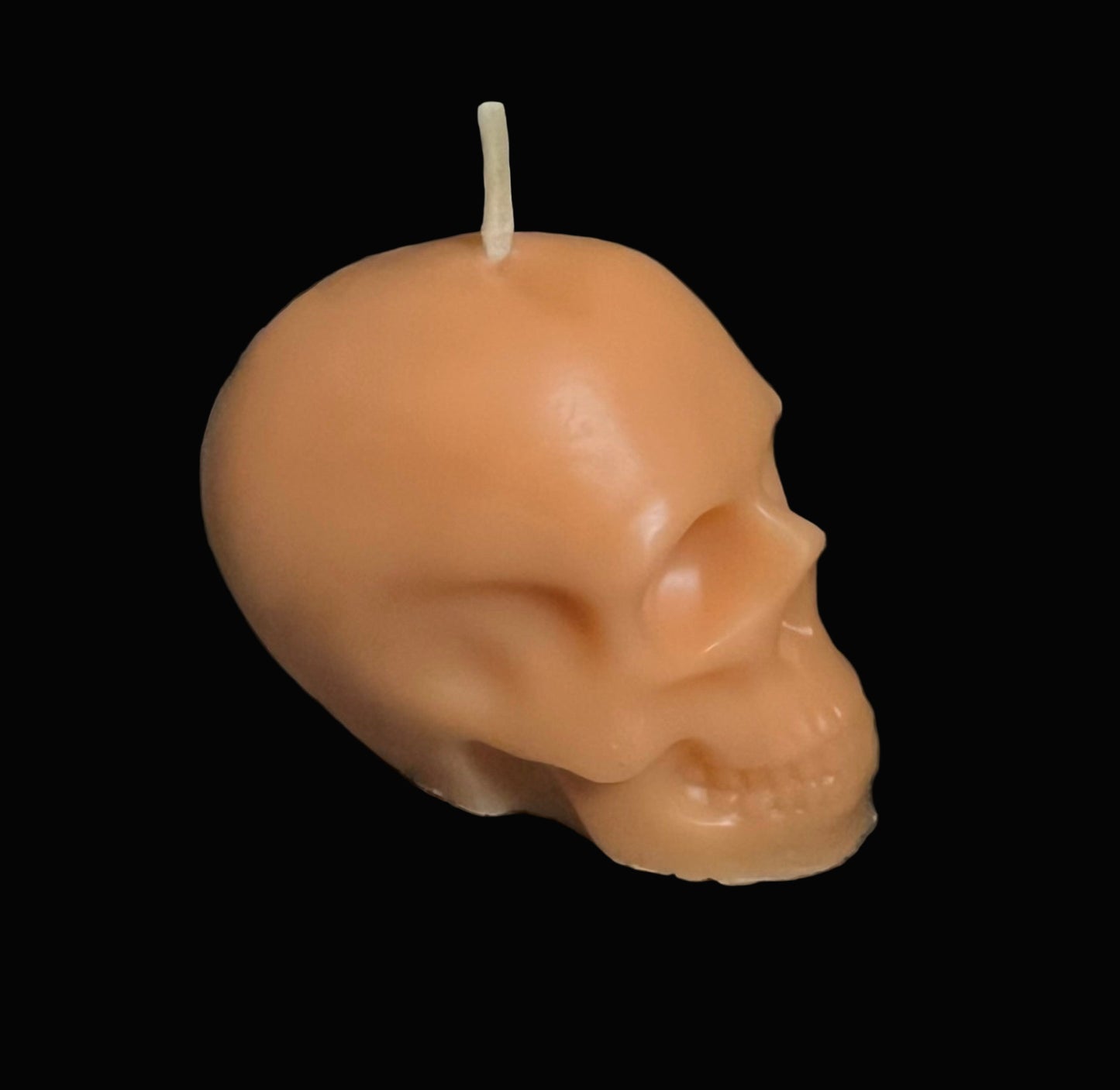 Beeswax Medium Skull Candle-Pumpkin Spice