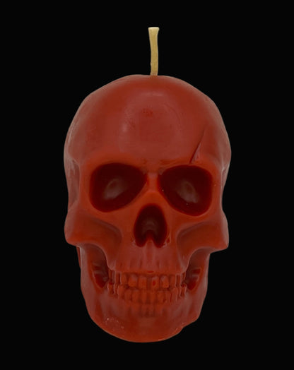 Beeswax-Coconut Oil Medium Skull Candle-Pumpkin Spice