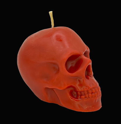 Beeswax-Coconut Oil Medium Skull Candle-Pumpkin Spice