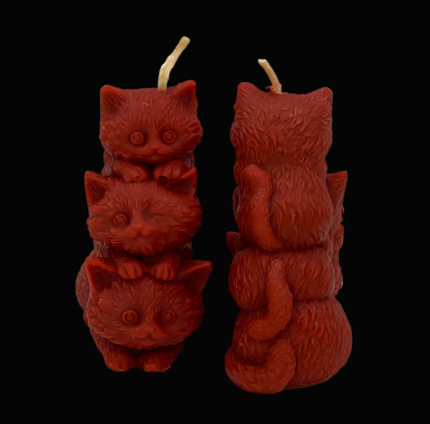 Beeswax-Coconut OIl Candle Kittens-Pumpkin Spice