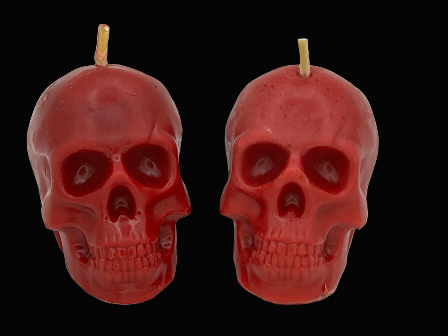 Beeswax Large Skull Candle-Pumpkin Spice