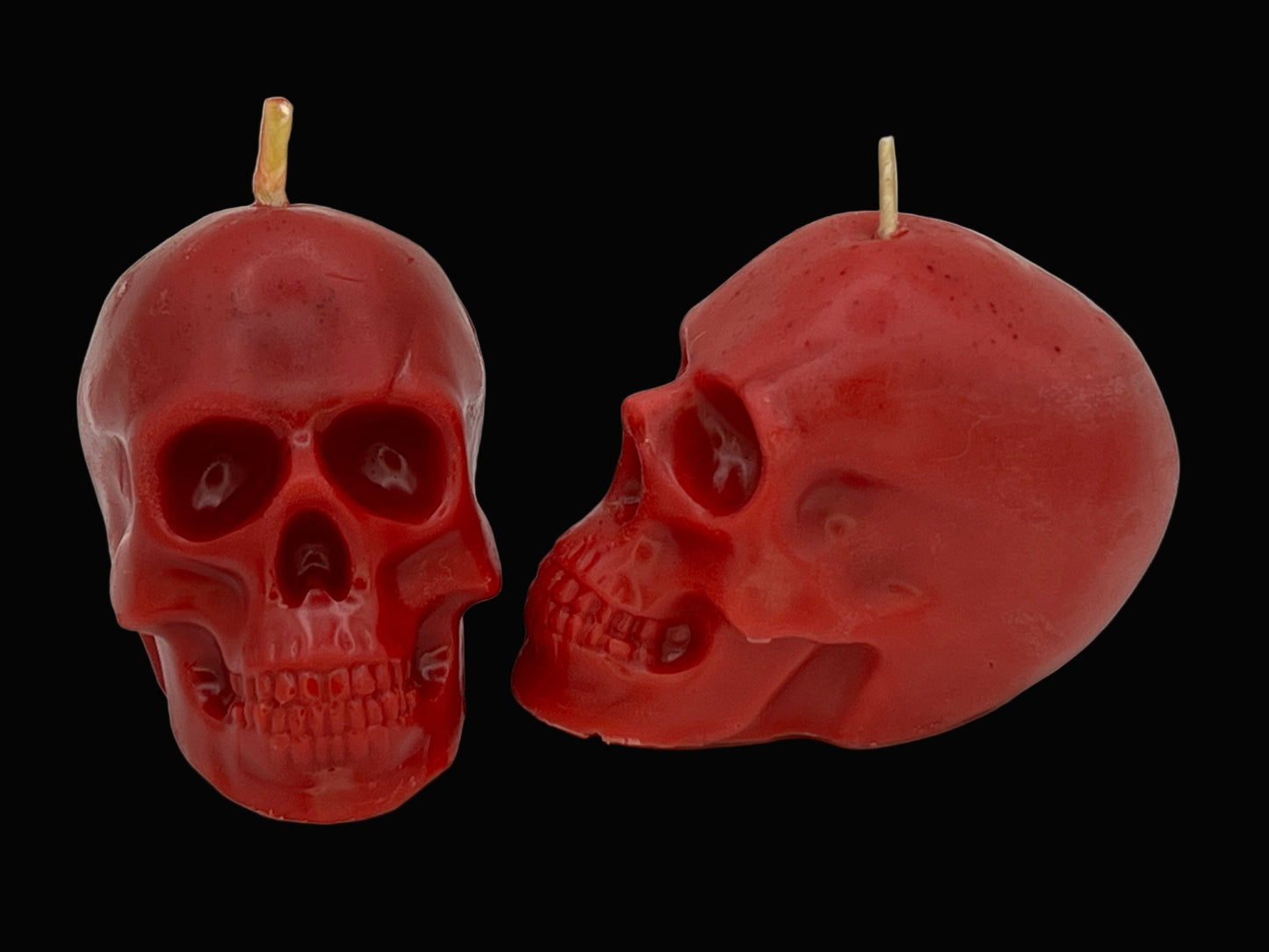 Beeswax Large Skull Candle-Pumpkin Spice