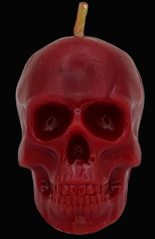 Beeswax Large Skull Candle-Pumpkin Spice